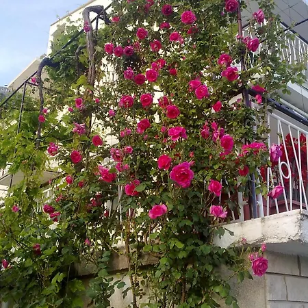 Apartments By The Sea Pisak, Omis - 1010 Apartman